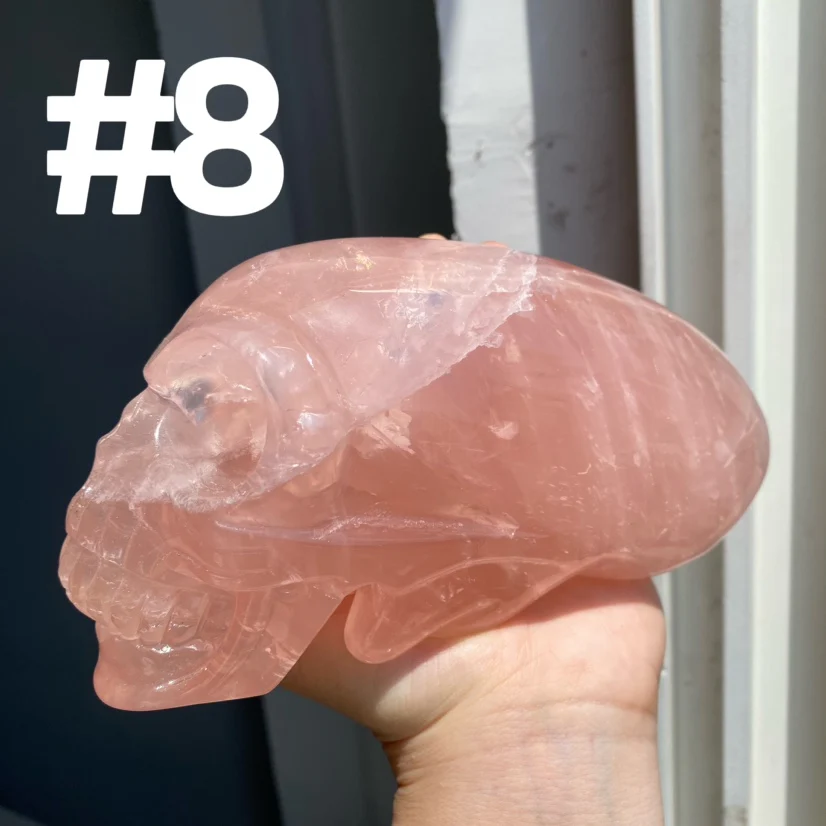 Alien Skull