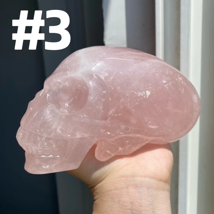 Alien Skull - Image 2