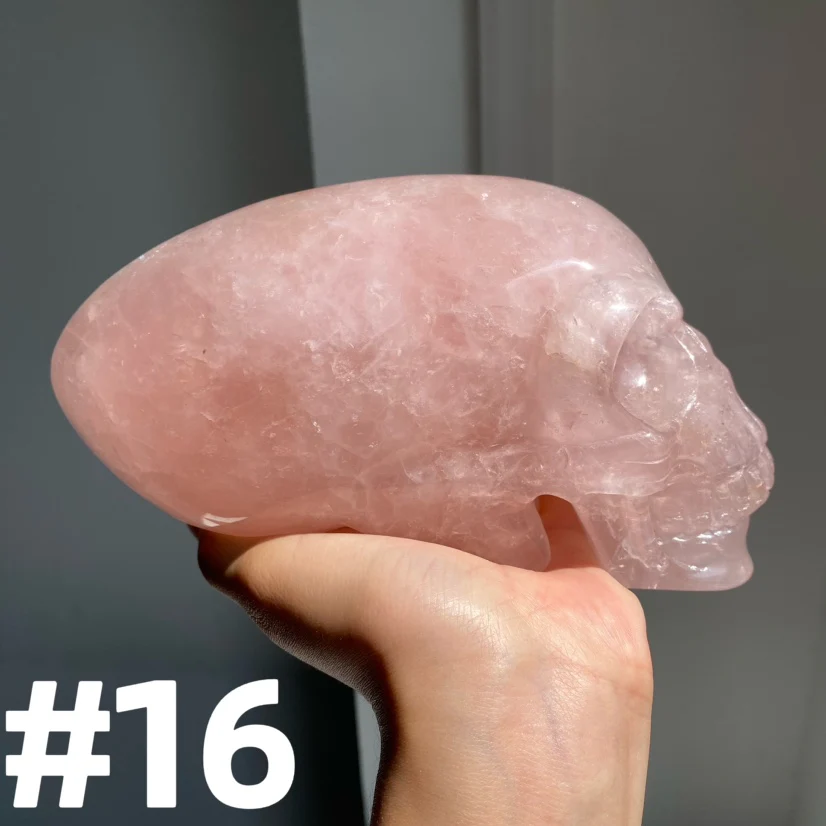Alien Skull - Image 3