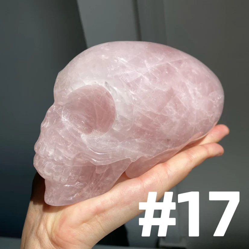 Alien Skull - Image 4