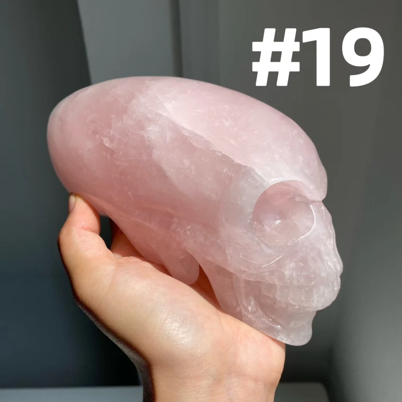 Alien Skull - Image 6