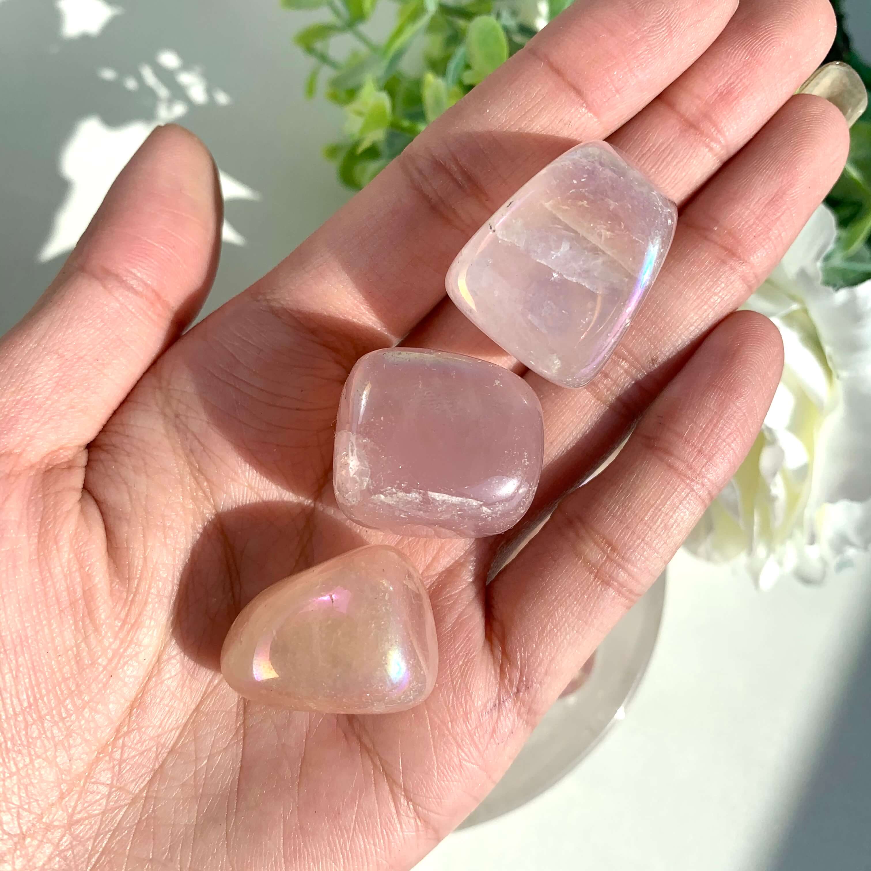 Angel Aura Rose Quartz Tumble
