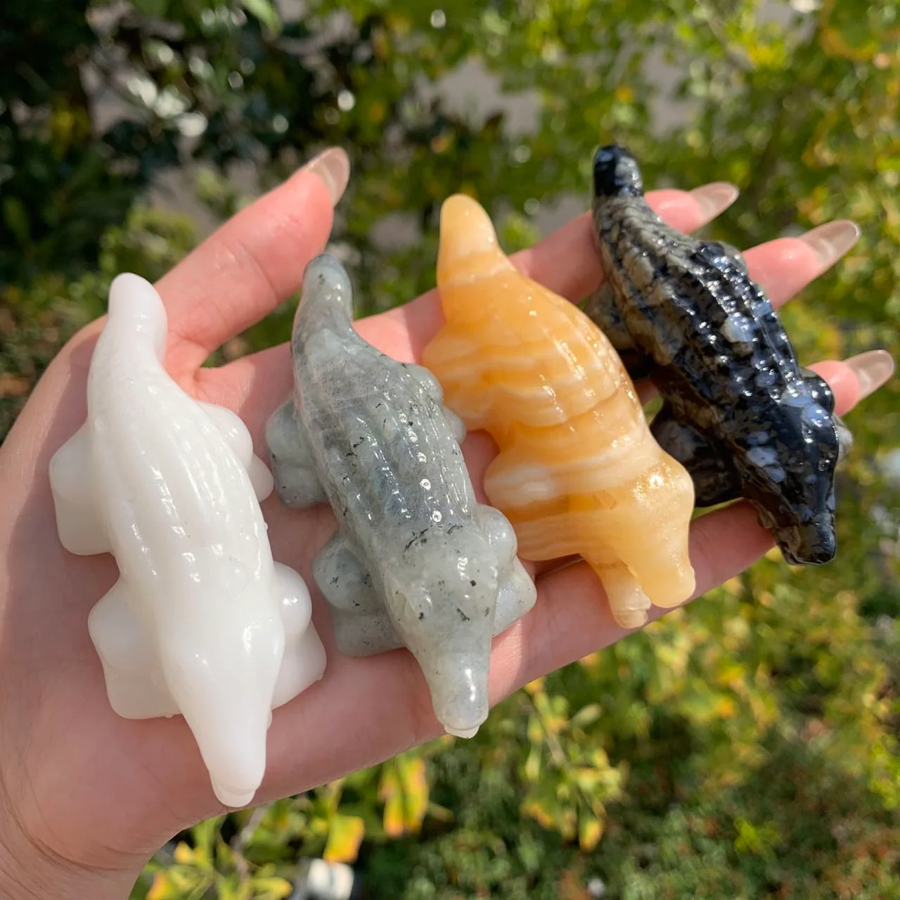 Crystal Crocodile
