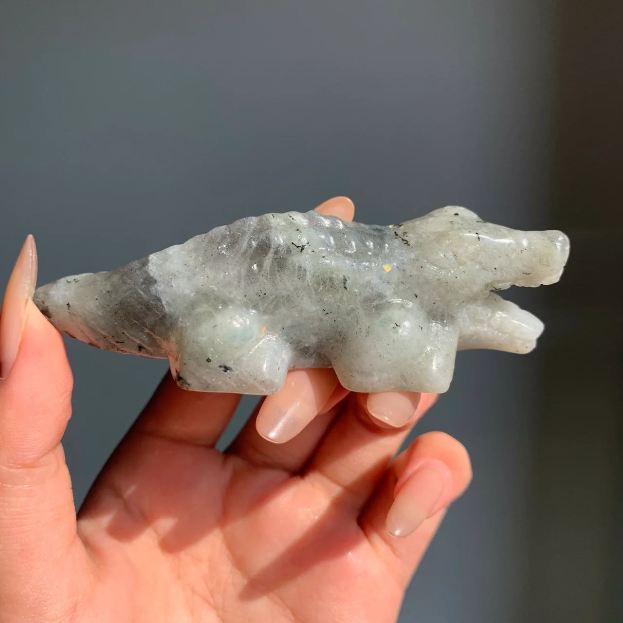 Crystal Crocodile - Image 3