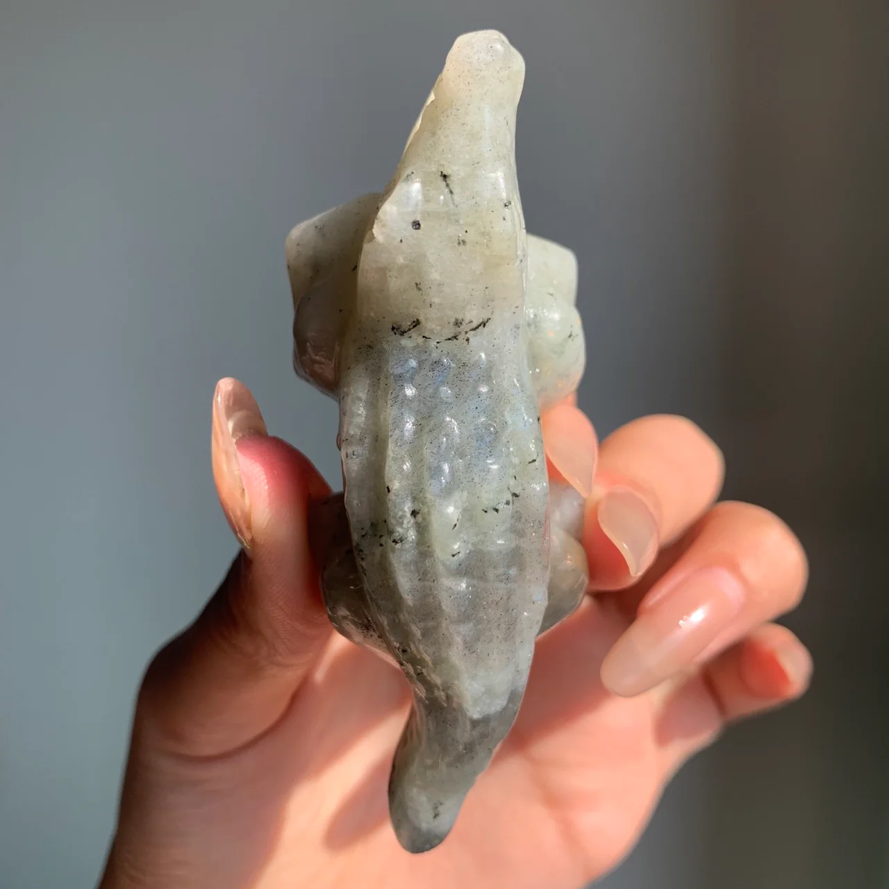 Crystal Crocodile - Image 4