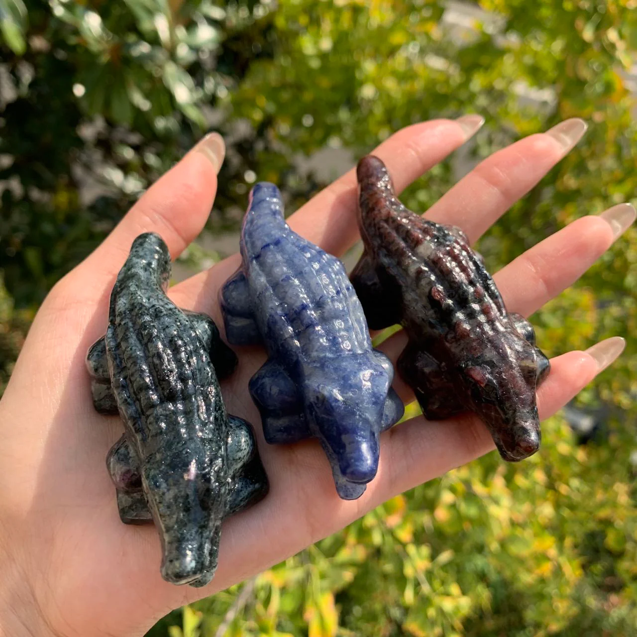Crystal Crocodile - Image 5