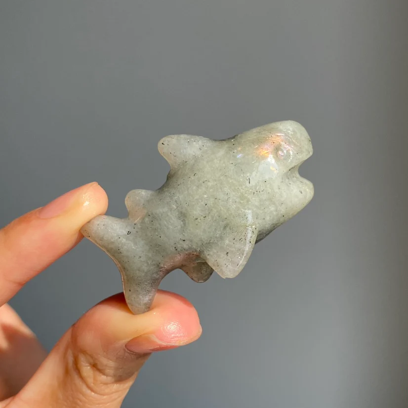 Crystal Shark - Image 5