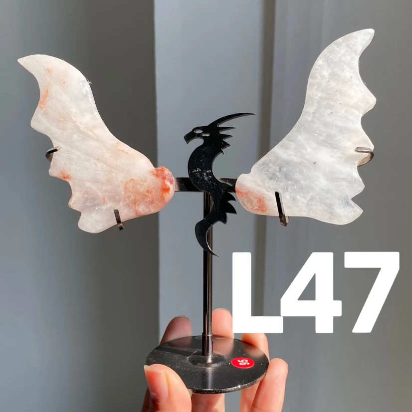 Dragon Wings