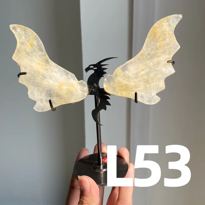Dragon Wings - Image 10