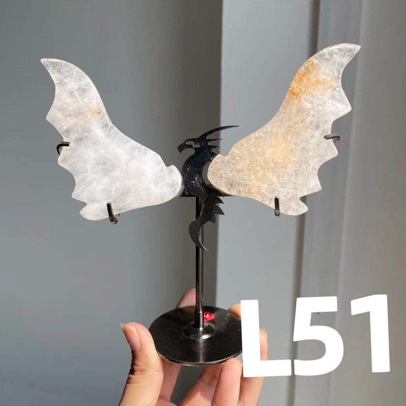 Dragon Wings - Image 11