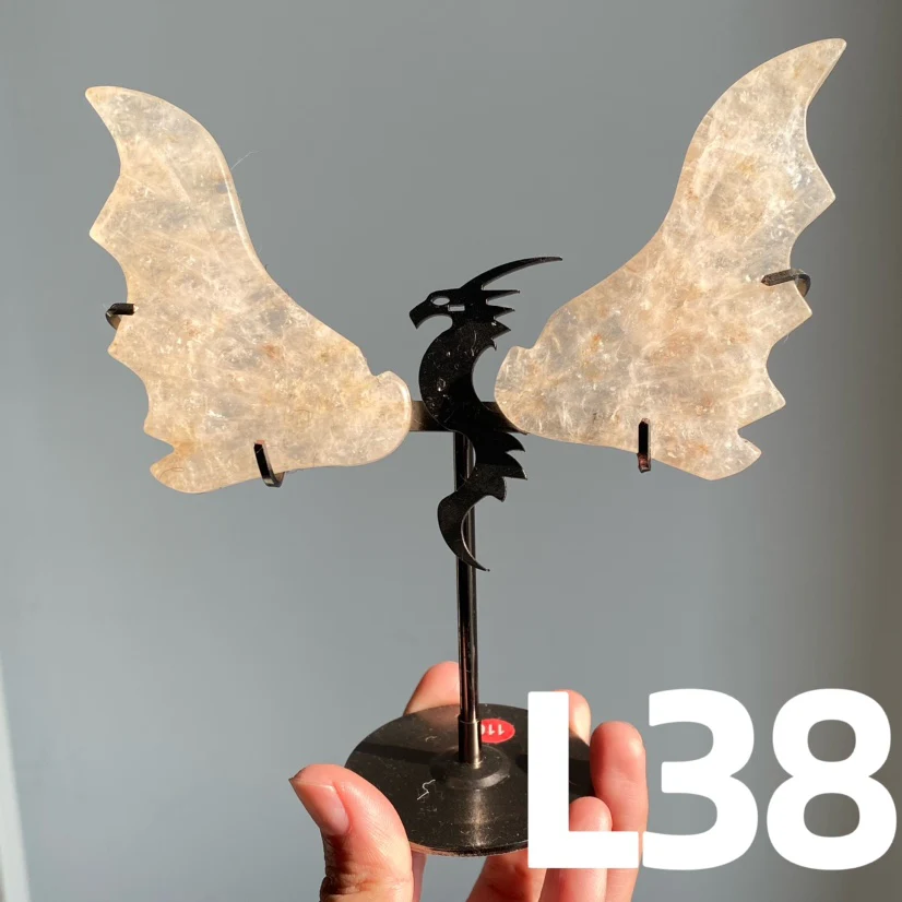 Dragon Wings - Image 4