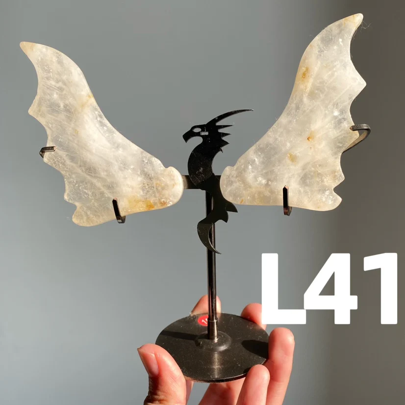 Dragon Wings - Image 5