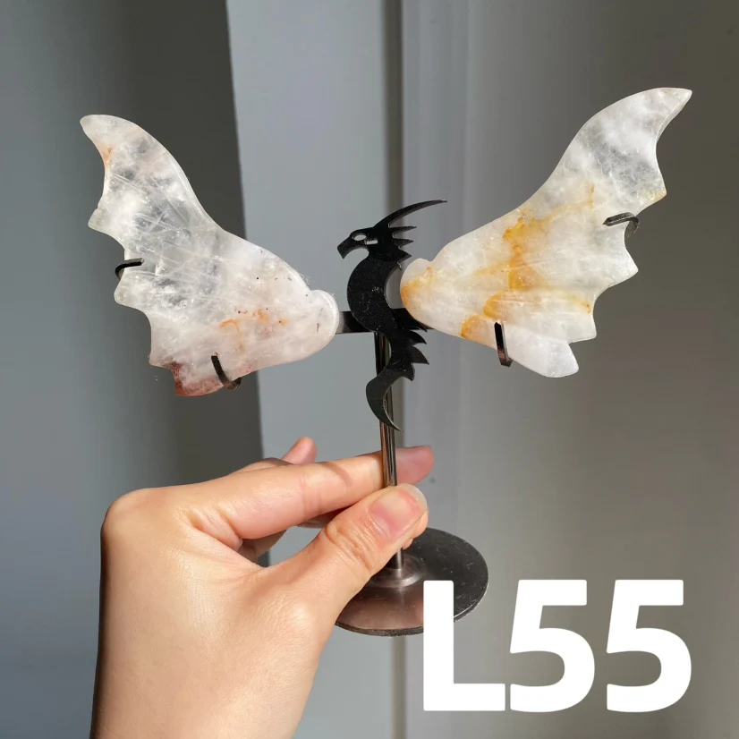 Dragon Wings - Image 6