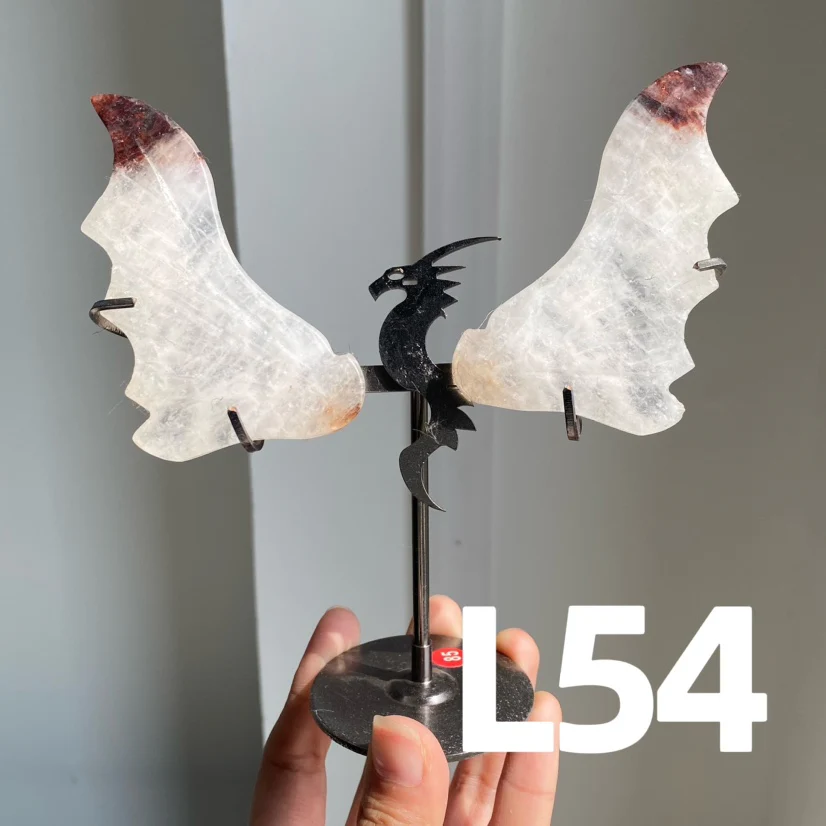 Dragon Wings - Image 7