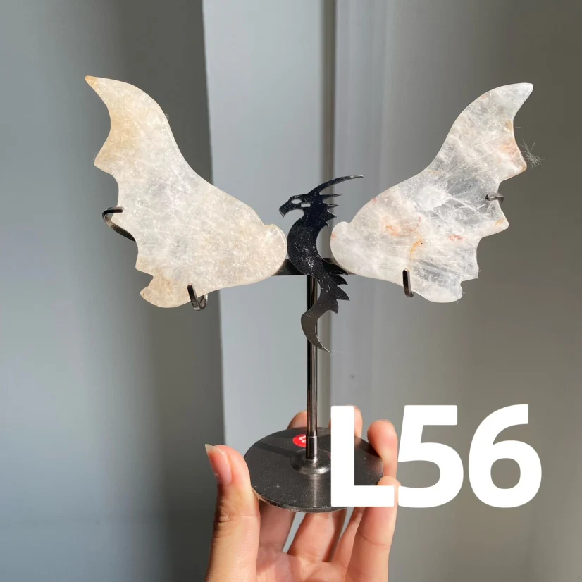 Dragon Wings - Image 8