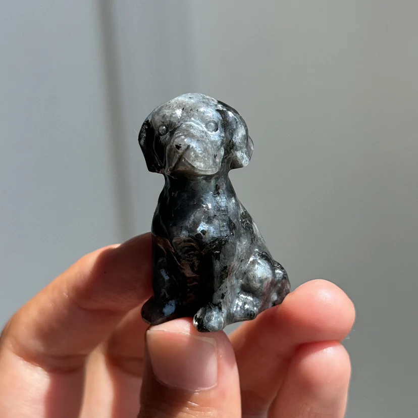 Labrador Dog - Image 3
