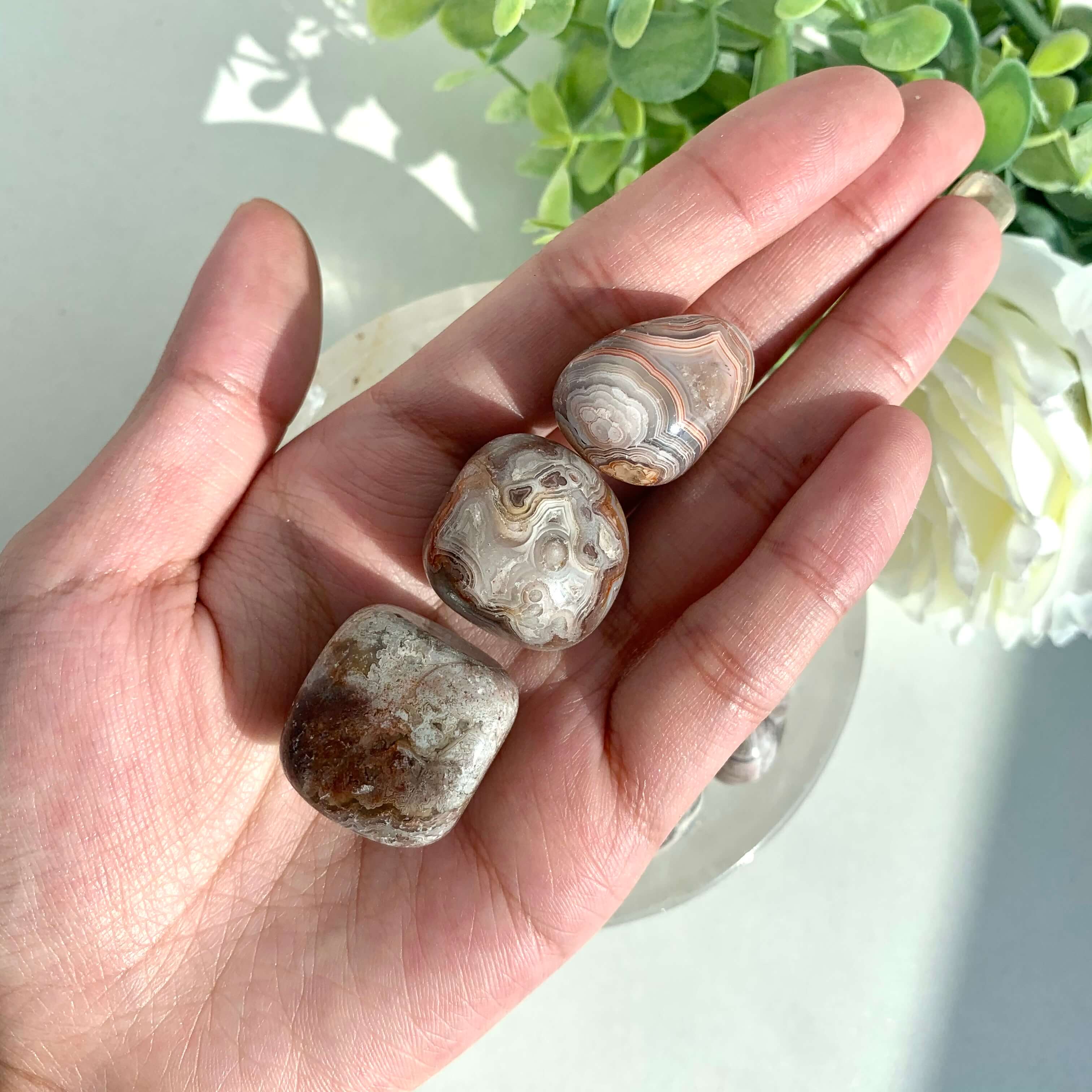 Mexican Crazy Lace Agate Tumble - Image 4