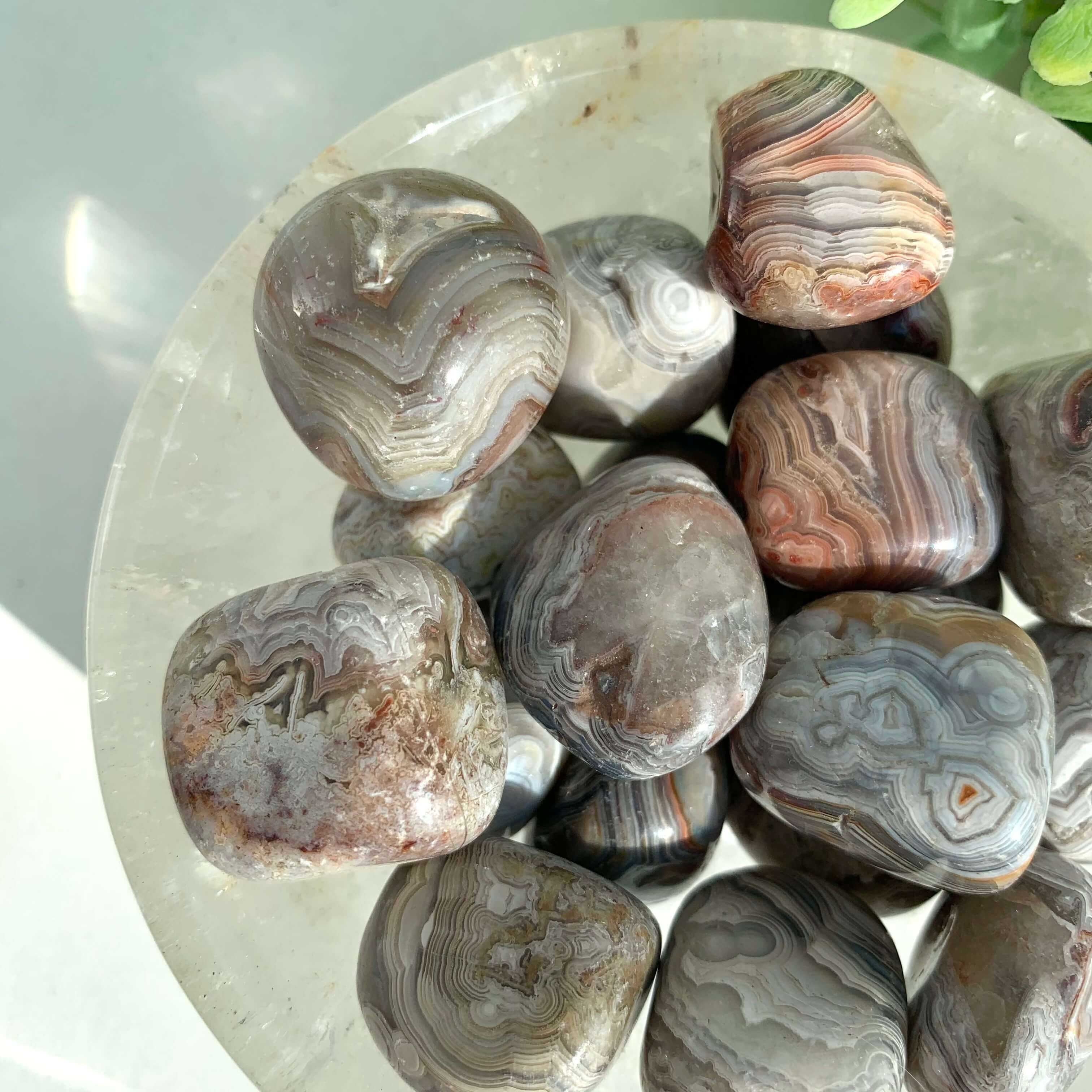 Mexican Crazy Lace Agate Tumble - Image 5