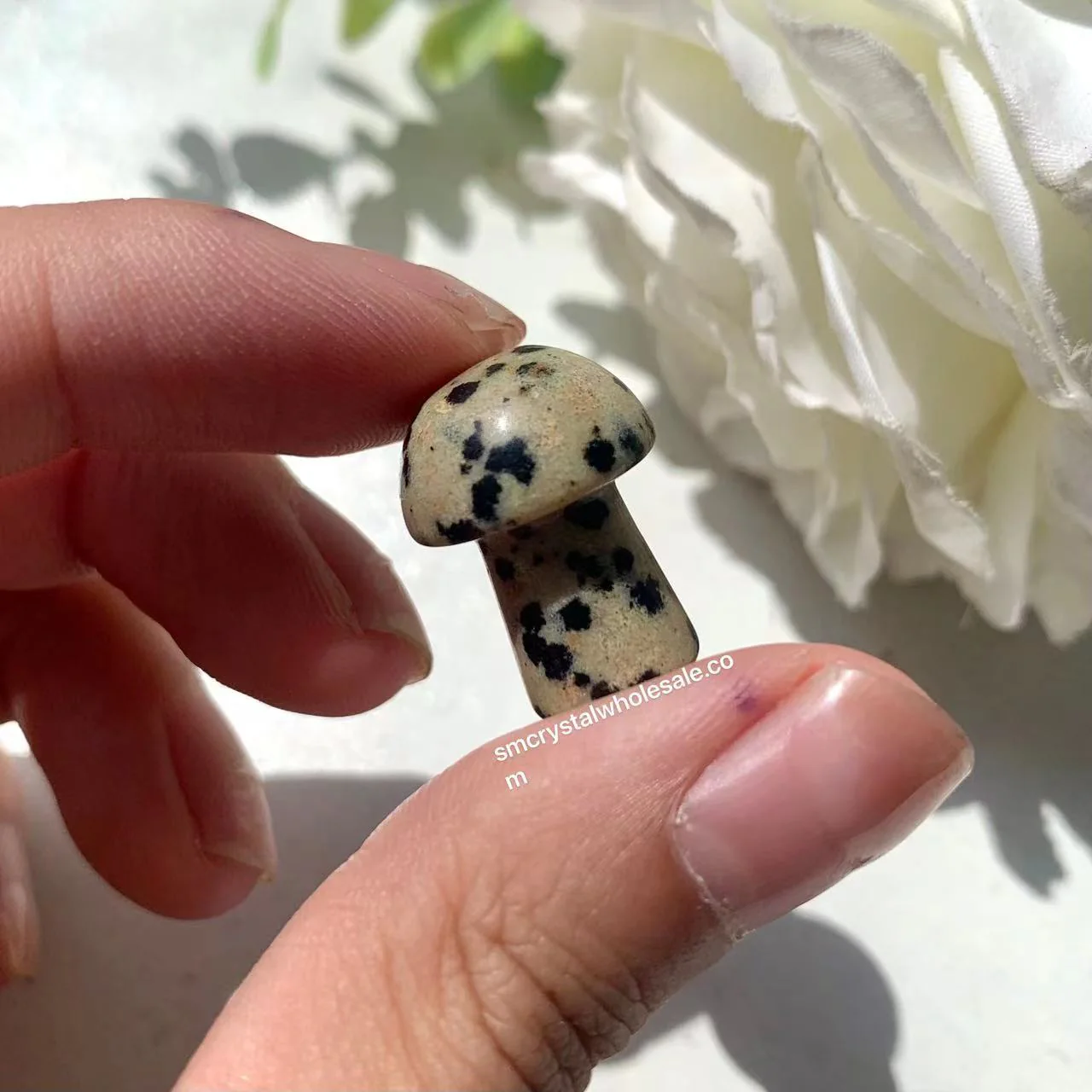 Mini Mushroom Confetti