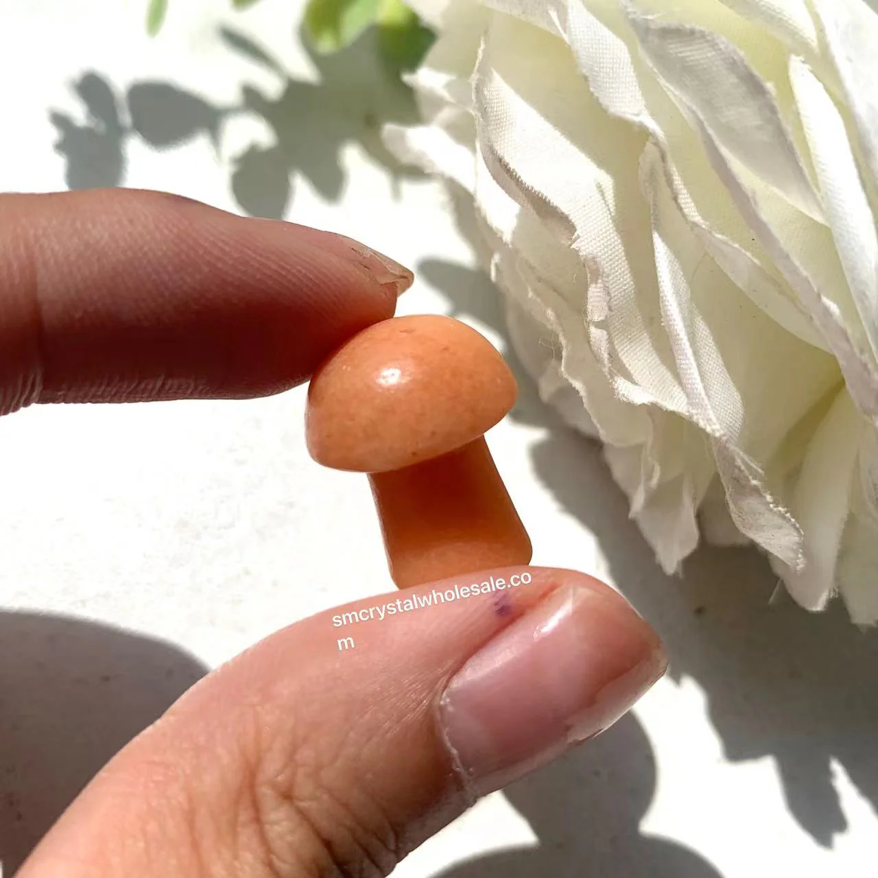 Mini Mushroom Confetti - Image 5
