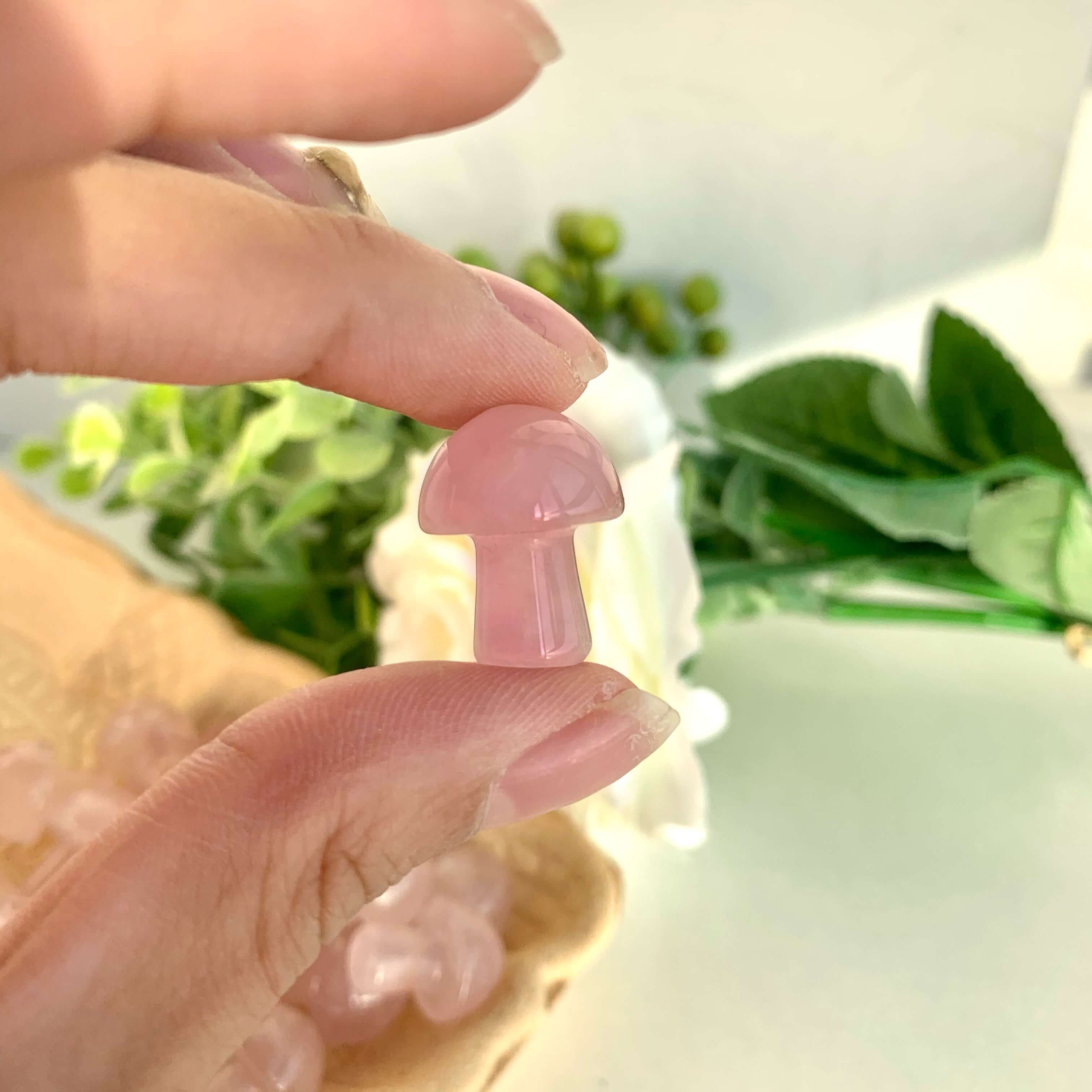 Mini Mushroom Confetti - Image 6