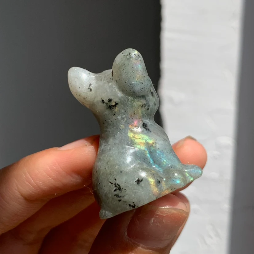 Small Bulldogs - Image 3