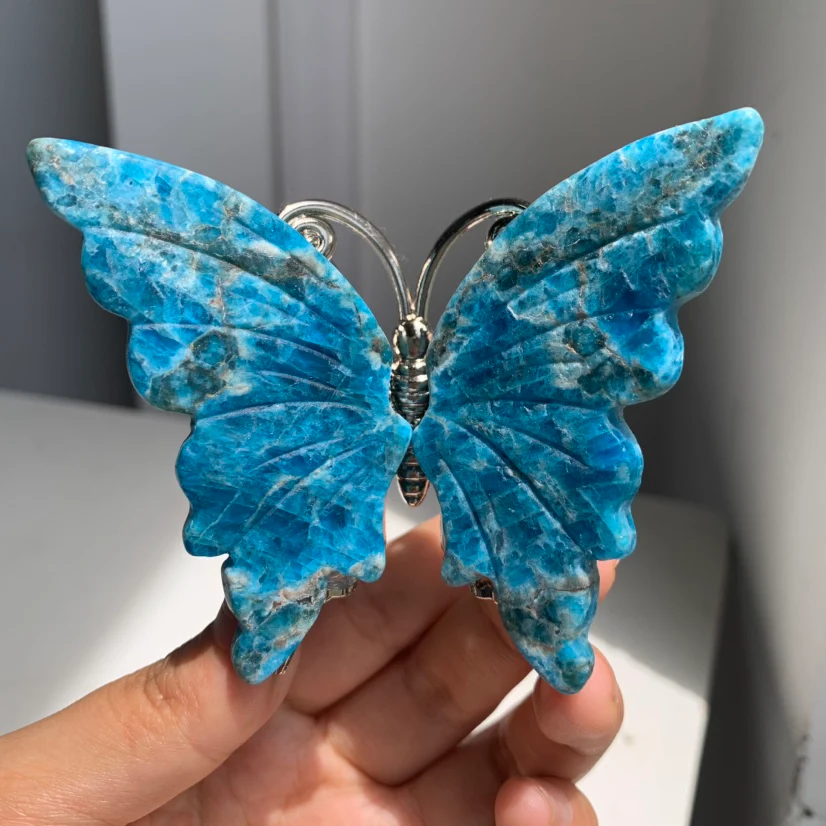 Small Butterfly - Image 5