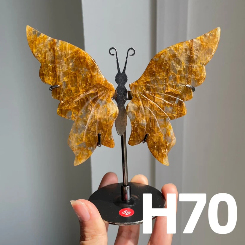 Small Butterfly Wings - Image 11