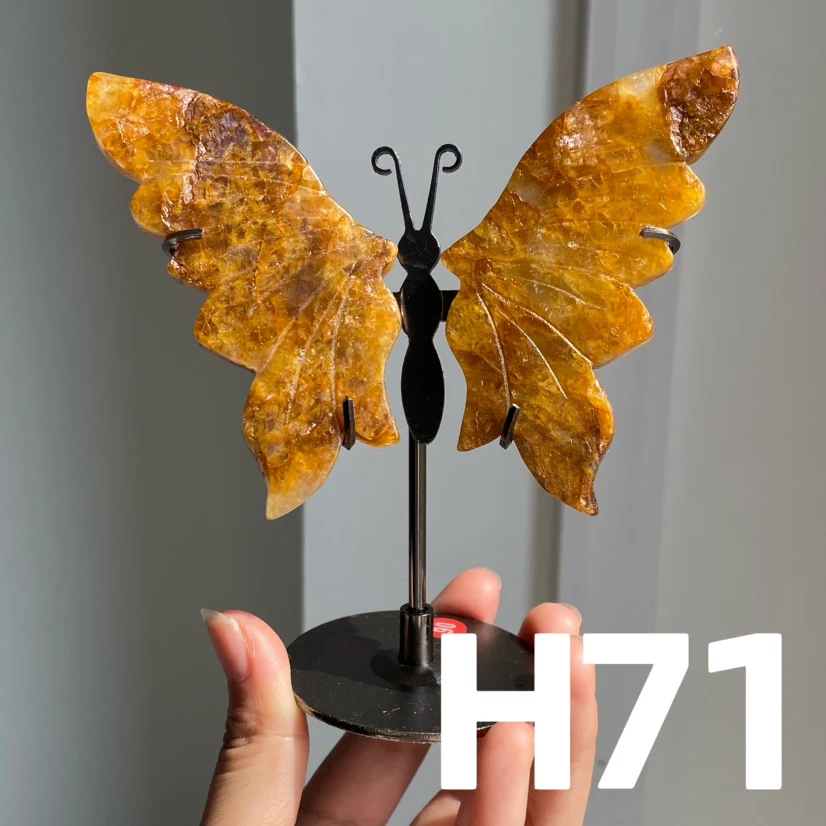 Small Butterfly Wings - Image 12