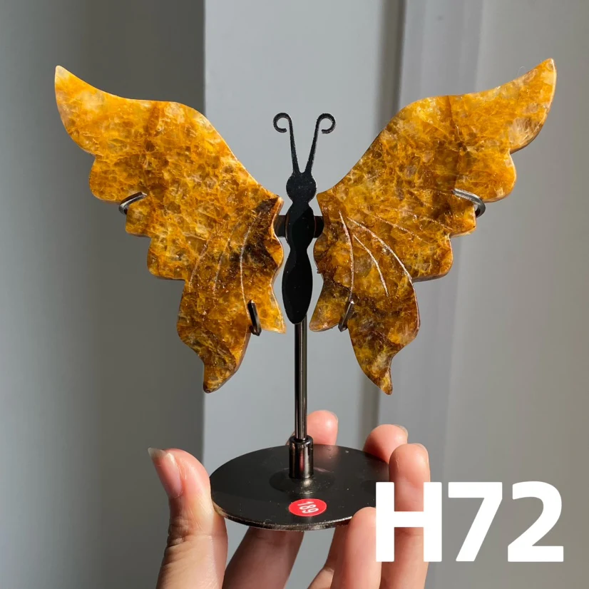 Small Butterfly Wings - Image 13