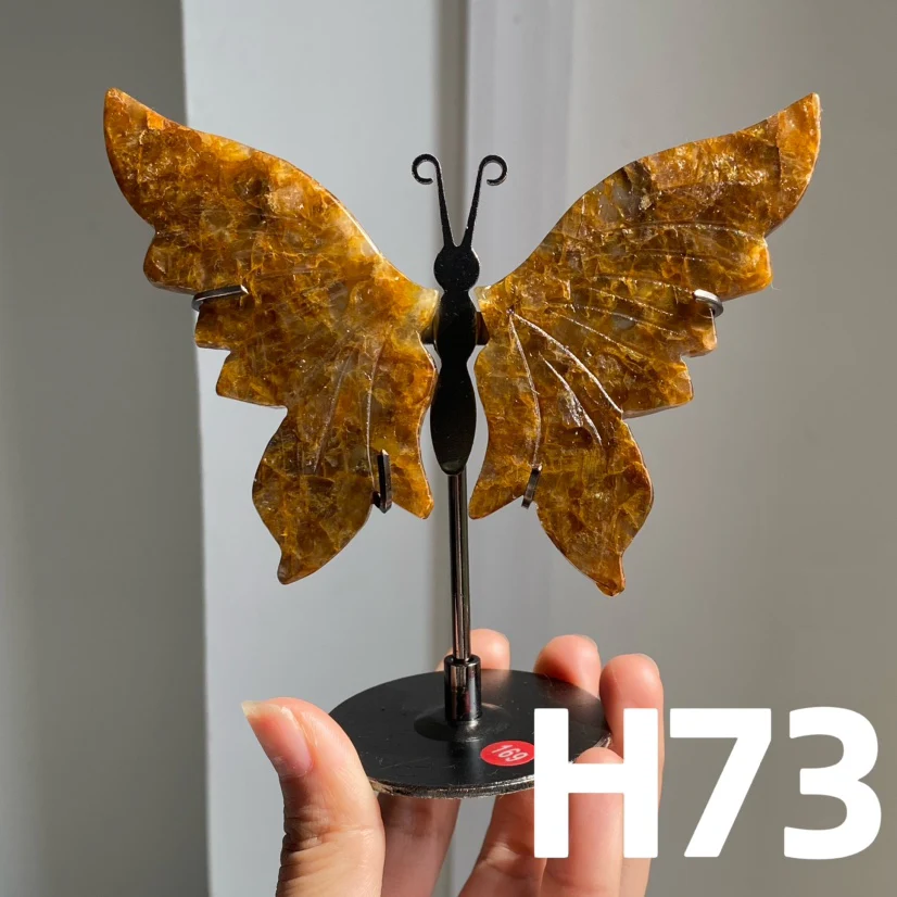Small Butterfly Wings - Image 14