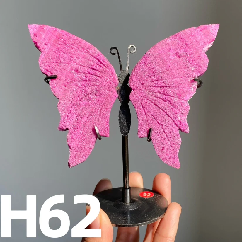 Small Butterfly Wings - Image 4
