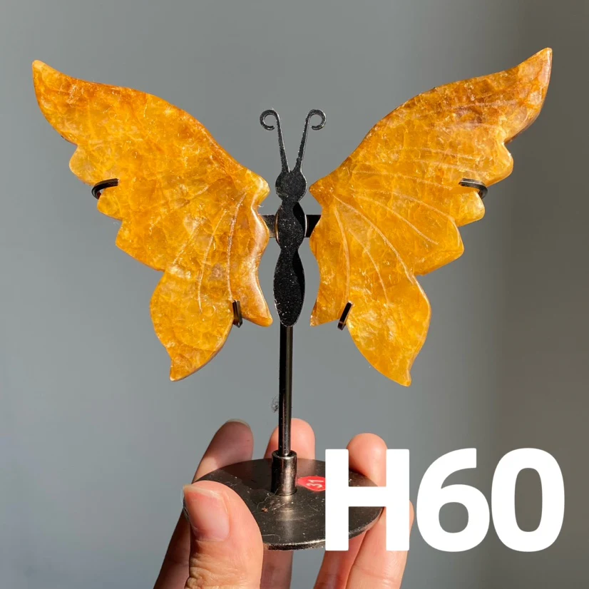 Small Butterfly Wings - Image 5