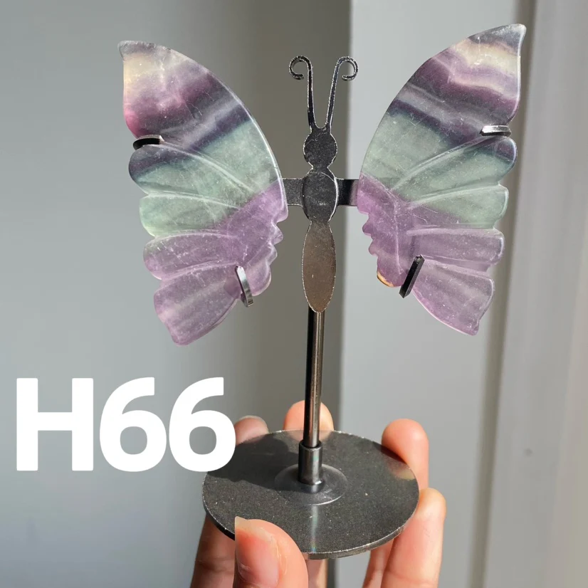 Small Butterfly Wings - Image 7