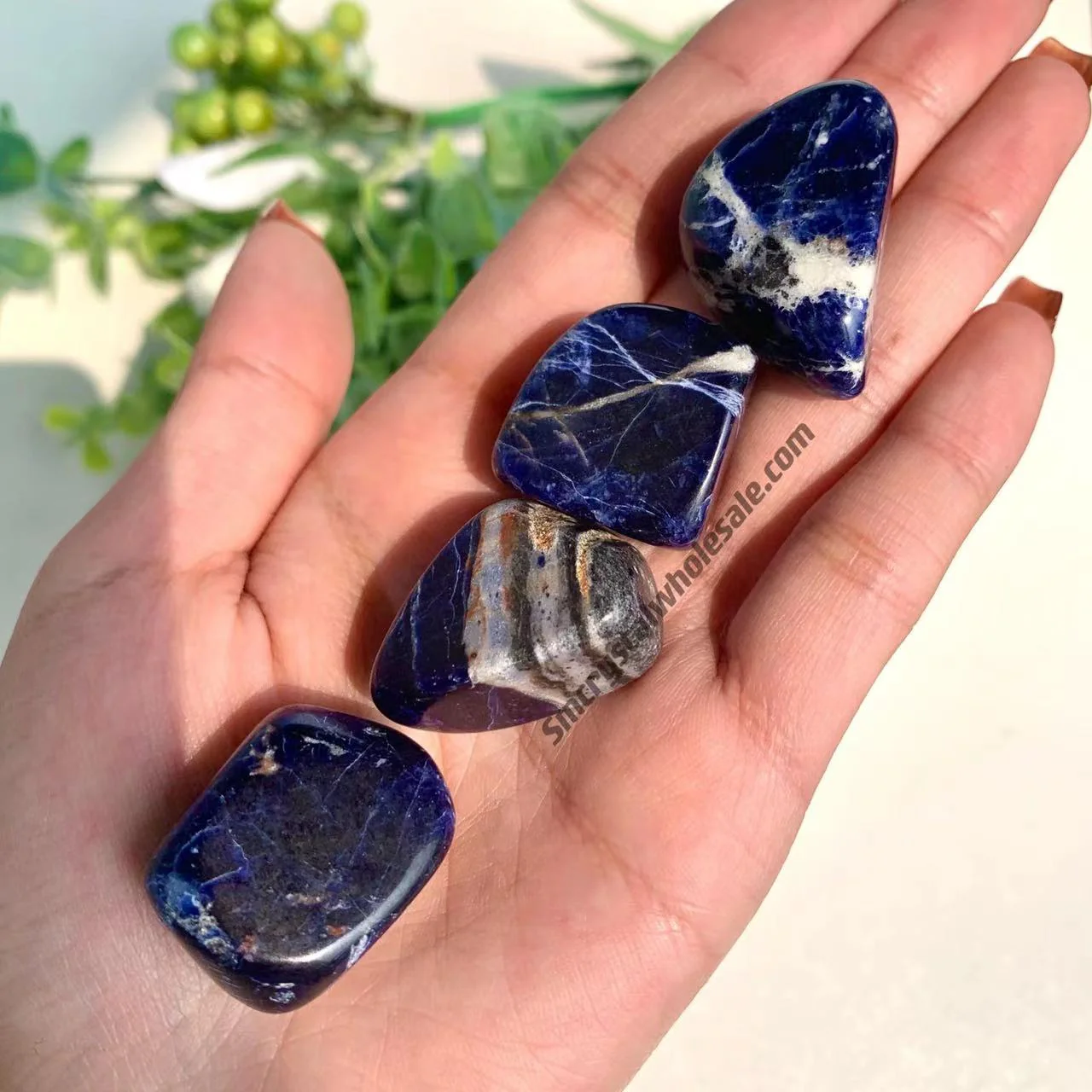 Sodalite Tumble - Image 3