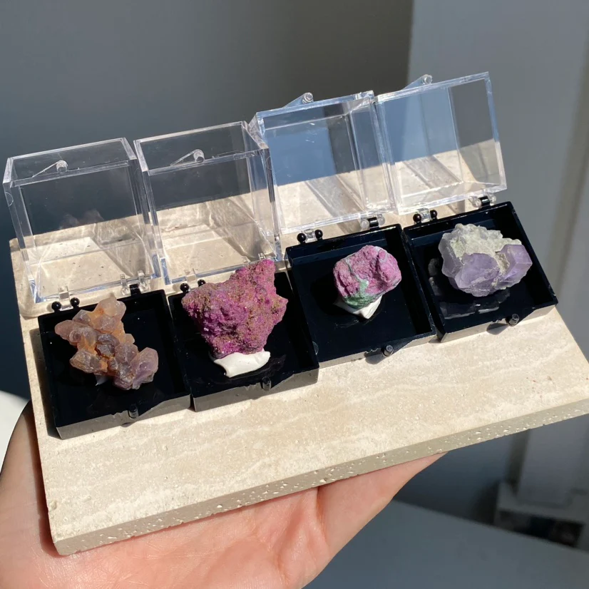 Specimen Display Box - Image 7